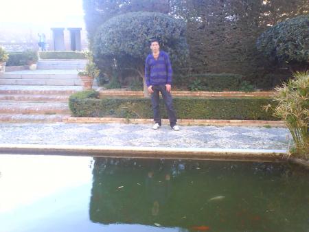 tonovila bal forana